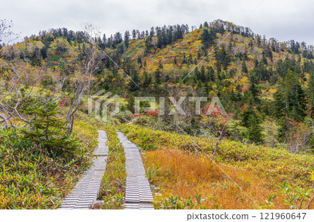 Autumn in the Tateyama Kurobe Alpine Route: Autumn leaves at Midagahara Autumn in the Tateyama Kurobe Alpine Route: Autumn leaves at Midagahara 121960647