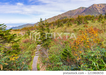 秋天的立山黑部阿爾卑斯山路線~紅葉的彌陀原 秋天的立山黑部阿爾卑斯山路線~紅葉的彌陀原 121960650
