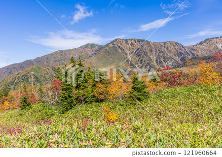 Autumn in the Tateyama Kurobe Alpine Route, Autumn leaves in Midagahara, Dainichi Mountain Range Autumn in the Tateyama Kurobe Alpine Route, Autumn leaves in Midagahara, Dainichi Mountain Range 121960664