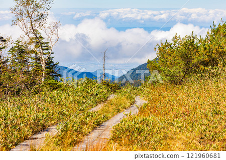 Autumn in the Tateyama Kurobe Alpine Route: Autumn leaves at Midagahara Autumn in the Tateyama Kurobe Alpine Route: Autumn leaves at Midagahara 121960681