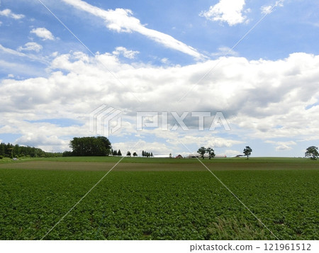 Northern land 121961512