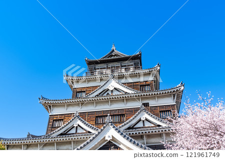 Hiroshima City, Hiroshima Prefecture Popular tourist spot Cherry blossoms in full bloom and Hiroshima Castle tower 121961749
