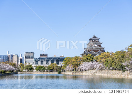廣島縣廣島市：廣島城和周邊城市景觀盛開美麗的櫻花 121961754