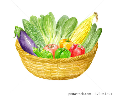 Watercolor illustration of many summer vegetables in a basket Watercolor illustration of many summer vegetables in a basket 121961894