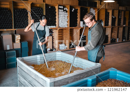 Crushing grapes for wine manufacturing in a cellar, winery and distillery. Industry employees, vintners and workers with press tool in a tank to mix large crate for fermentation process in production 121962147