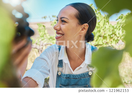 Proud vineyard farmer pick black grapes from vine tree on Summer harvest day. Successful business woman in agriculture industry working in countryside valley nature field, cultivate fruit growth. 121962153