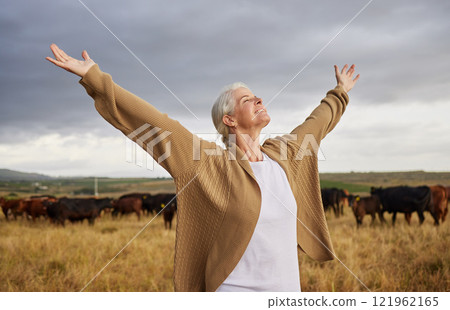 Happiness, freedom and mature woman looking free in nature with cows and grey sky background. Elderly happy senior relax with open arms in a countryside field with a smile and a positive mindset 121962165