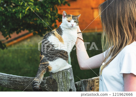 A girl pets a cat 121962666