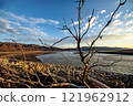 A dried out dead tree on the shore of a salt lake with chemically polluted water. Environmental pollution. 121962912