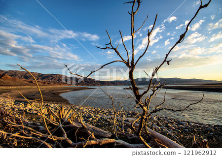 A dried out dead tree on the shore of a salt lake with chemically polluted water. Environmental pollution. 121962912
