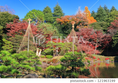 [東京]舊古河庭園的紅葉 121963199