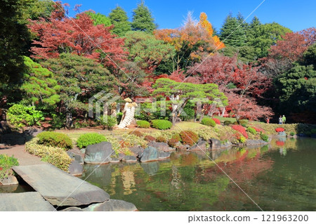 [Tokyo] Stone bridge and autumn leaves at Kyu-Furukawa Gardens 121963200