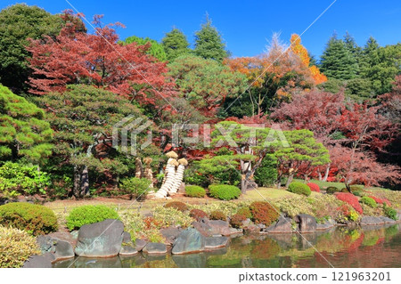 [Tokyo] Autumn leaves at the Kyu-Furukawa Gardens 121963201