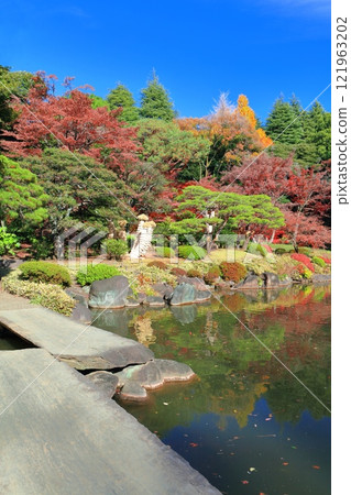 [東京]舊古河庭園的紅葉 121963202