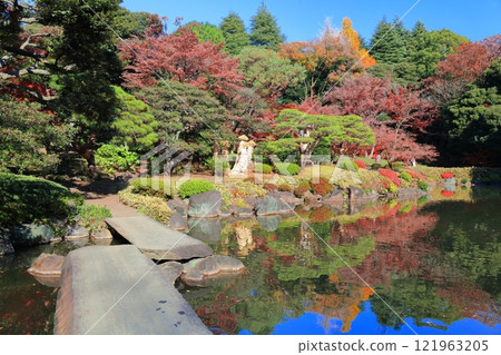 [Tokyo] Stone bridge and autumn leaves at Kyu-Furukawa Gardens 121963205