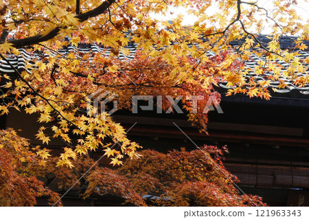 Hakone Museum of Art 121963343