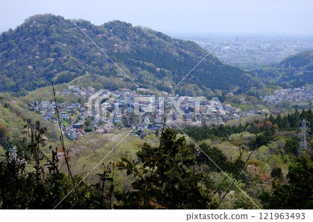 綠樹環繞的住宅小區[4月相模原市築井市] 121963493