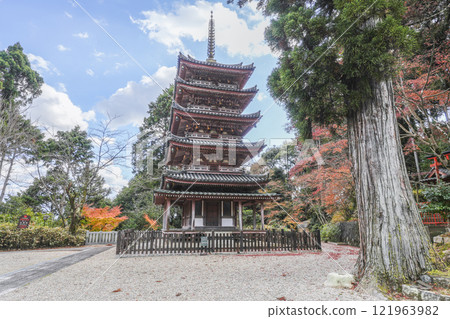 海十山寺（京都府）國寶五層塔 121963982