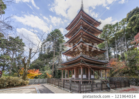 Kaijusenji Temple (Kyoto Prefecture) National Treasure Five-Story Pagoda 121964014