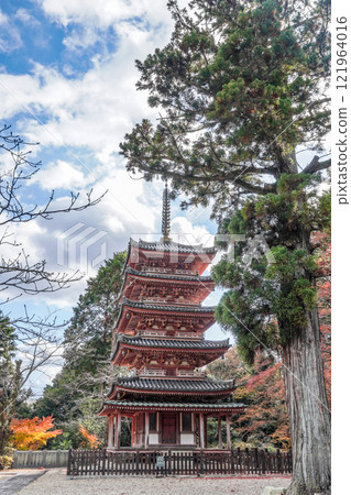 海十山寺（京都府）國寶五層塔 121964016