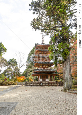 海十山寺（京都府）國寶五層塔 121964044
