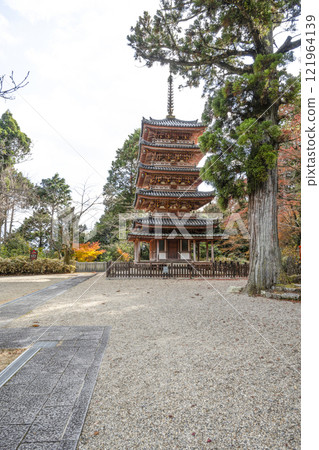 Kaijusenji Temple (Kyoto Prefecture) National Treasure Five-Story Pagoda 121964139