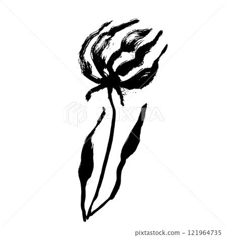 Grunge Dry Brush Ink Wild Flower Grunge Dry Brush Ink Wild Flower 121964735