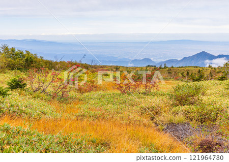 Autumn in the Tateyama Kurobe Alpine Route: Autumn leaves at Midagahara Autumn in the Tateyama Kurobe Alpine Route: Autumn leaves at Midagahara 121964780