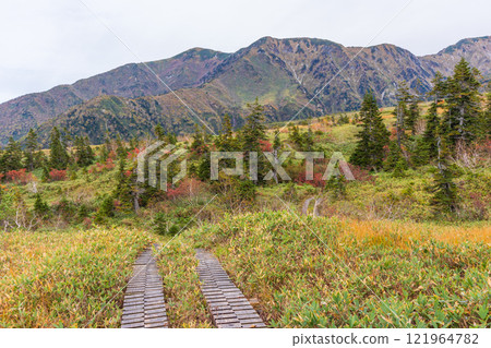 Autumn in the Tateyama Kurobe Alpine Route, Autumn leaves in Midagahara, Dainichi Mountain Range Autumn in the Tateyama Kurobe Alpine Route, Autumn leaves in Midagahara, Dainichi Mountain Range 121964782