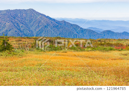 Autumn in the Tateyama Kurobe Alpine Route: Autumn leaves at Midagahara 121964785
