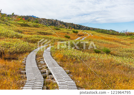秋天的立山黑部阿爾卑斯山路線～紅葉的彌陀原 121964795
