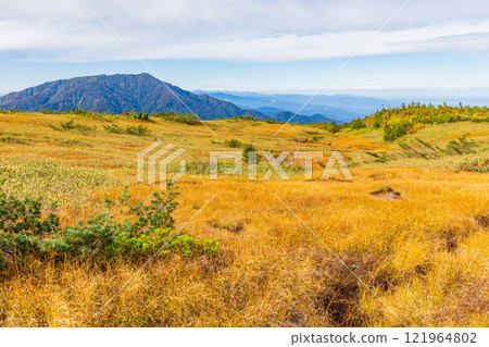 秋天的立山黑部阿爾卑斯山路線~紅葉的彌陀原 秋天的立山黑部阿爾卑斯山路線~紅葉的彌陀原 121964802