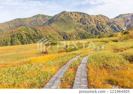 Autumn in the Tateyama Kurobe Alpine Route, Autumn leaves in Midagahara, Dainichi Mountain Range 121964805
