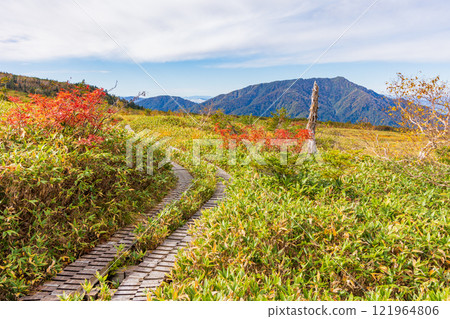 Autumn in the Tateyama Kurobe Alpine Route: Autumn leaves at Midagahara 121964806