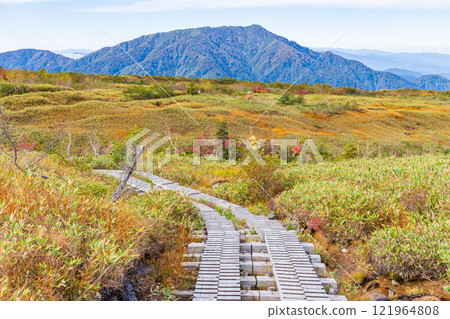 Autumn in the Tateyama Kurobe Alpine Route: Autumn leaves at Midagahara Autumn in the Tateyama Kurobe Alpine Route: Autumn leaves at Midagahara 121964808