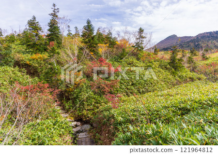 Autumn in the Tateyama Kurobe Alpine Route: Autumn leaves at Midagahara 121964812