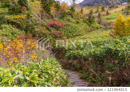 Autumn in the Tateyama Kurobe Alpine Route: Autumn leaves at Midagahara Autumn in the Tateyama Kurobe Alpine Route: Autumn leaves at Midagahara 121964813