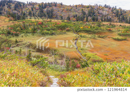 Autumn in the Tateyama Kurobe Alpine Route: Autumn leaves at Midagahara Autumn in the Tateyama Kurobe Alpine Route: Autumn leaves at Midagahara 121964814