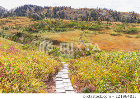 Autumn in the Tateyama Kurobe Alpine Route: Autumn leaves at Midagahara Autumn in the Tateyama Kurobe Alpine Route: Autumn leaves at Midagahara 121964815