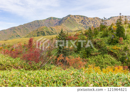 秋天的立山黑部阿爾卑斯山路線~紅葉的彌陀原 秋天的立山黑部阿爾卑斯山路線~紅葉的彌陀原 121964821