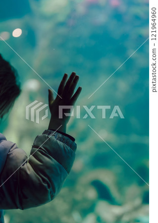 一隻小手觸摸水族箱玻璃 一隻小手觸摸水族箱玻璃 121964960