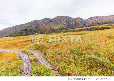 秋天的立山黑部阿爾卑斯山路線、紅葉的彌陀原、大日山脈 121965390