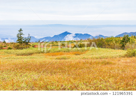 秋天的立山黑部阿爾卑斯山路線～紅葉的彌陀原 121965391