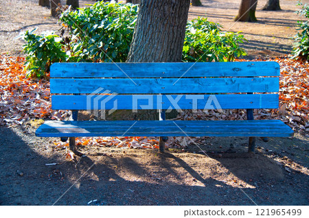 Park bench and fallen leaves Park bench and fallen leaves 121965499