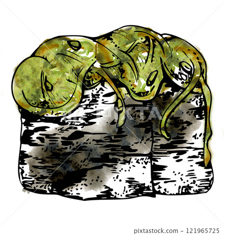 Traditional Japanese food, gunkan sushi seaweed nori wrap with wakame chuka salad, sesame chia seeds. Illustration hand drawn in watercolor, ink for restaurant, cafe menu, kitchen, cooking recipe book Traditional Japanese food, gunkan sushi seaweed nori wrap with wakame chuka salad, sesame chia seeds. Illustration hand drawn in watercolor, ink for restaurant, cafe menu, kitchen, cooking recipe book 121965725