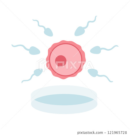 In vitro fertilization. IVF. Egg, sperm illustration in cartoon flat style. Fertilization process. Vector illustration 121965728