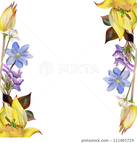 Spring flowers, white forest anemone, trout lily, yellow tulip, blue hepatica forget-me-not, purple corydalis hand drawn in watercolor. Border frame illustration for wedding, florist shop, stationery 121965729
