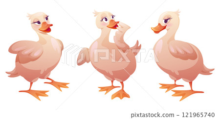 Cute duck character set Cute duck character set 121965740
