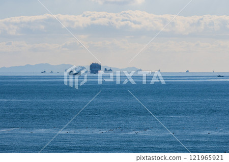 Many ships sailing through the Uraga Channel in Tokyo Bay 121965921