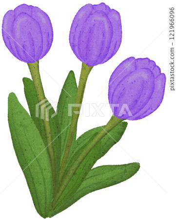 tulip coloring illustration 121966096